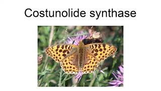 Costunolide Synthase [upl. by Yeliac217]