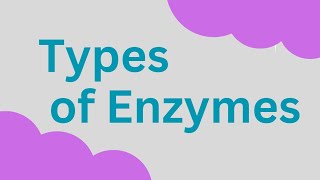 Types of Enzymes Isozyme Lysozyme Zymogens autocatalysis [upl. by Aeslahc]