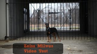 Zeiss Milvus Video Test Footage [upl. by Fredelia318]