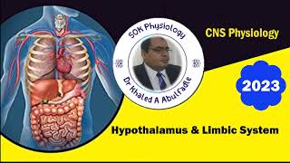 Hypothalamus and limbic system Physiology 32023 by Dr Khaled A Abulfadle [upl. by Ynnol735]