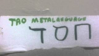 TAO METALANGUAGE running a defragmenting process on tao metalanguage [upl. by Sanborne]