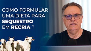 Como formular uma dieta para sequestro em recria [upl. by Spiros]