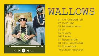 Wallows Best Songs Playlist Wallows Greatest Hits Full Album 2023 [upl. by Skolnik]