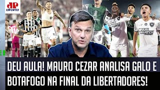 quotNÃO É COINCIDÊNCIA Por que AtléticoMG e Botafogo ESTÃO NA FINAL Porquequot Mauro Cezar ANALISA [upl. by Friedman]