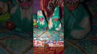 Radhe radhe 😊🙏🏻radheradhe radhakrishna lddugopal video viralvideo [upl. by Ynnatirb]