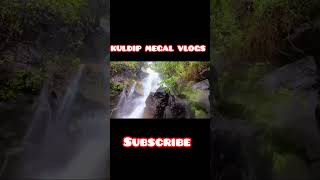 FOREST LIFESTYLE viralvideogujratforest viralshorts viralshort trendingtrendingshorts [upl. by Leonore]