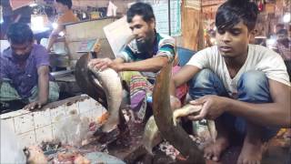 Indian long fin eel Fish Cleaning amp Remove Skin in Fish Market Part 01 [upl. by Ilojne]