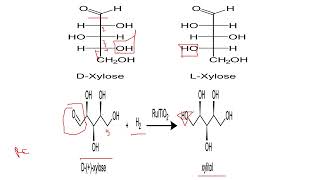 General accounts of Xylose [upl. by Ellac]