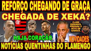 NOTÍCIAS QUENTINHAS DO FLAMENGO HOJA CHEGADA DE XEKA OU ANDRÉ FRANCO CLUBE ESPANHOL QUER GABIGOL E [upl. by Warde]