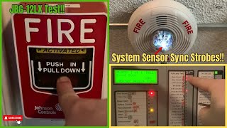 Front Door Pull Station Fire Alarm System Test 3 [upl. by Tiana]