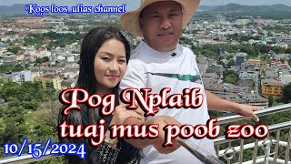 Pog Nplhaib tuaj mus poob zoo 10152024 [upl. by Nodyl]