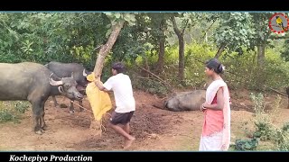 Khuntaw dosar  New santali comedy video 2024  viralvideo  funnyvideo  Kochepiyo Production [upl. by Girvin]