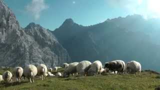 Alpenwelt Karwendel  Bergwandern und Klettern [upl. by Iand]