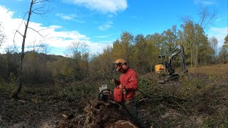 Tree work with chainsaw excavator and tractor [upl. by Rockwood936]