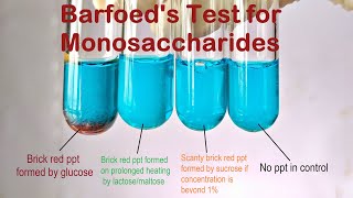 Barfoeds Test Practical Experiment [upl. by Aztilay996]