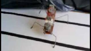 Microcore beam robot 4 2 motor legs Walker selfmade gears [upl. by Christalle588]