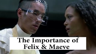 Westworld The Importance of Maeve and Felix  Episode 6 [upl. by Blus]