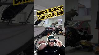 Moose destroys BMW collection carcommunity autocommunity automobile cartok supercarsclub bmw [upl. by Ecnadnac223]