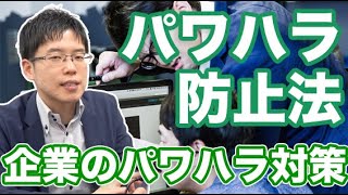 パワハラ防止法【企業のパワーハラスメント対策とは】 [upl. by Nyliram]