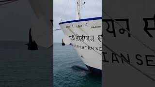 Lakshadweep to kochi ship  Lakshadweep  Lakshadweep Ship  Lakshadweep Island  lakshadweep [upl. by Ernaldus]