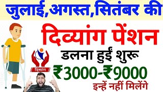 divyang pension yojana list  divyang pension list up  up divyang pension list  pension list [upl. by Hezekiah]