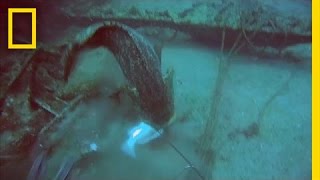 Huge Fish Drags Fisherman Around After Stealing His Catch  National Geographic [upl. by Ialda]