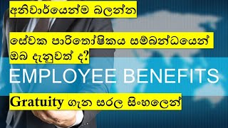 සේවක පාරිතෝෂිතය ගැන ඔබ දන්නවාද  Gratuity  Employee Retirement Benefits  Sinhala [upl. by Ogawa]