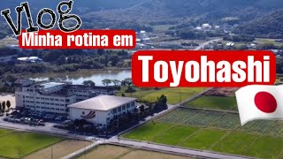 Minha rotina em Toyohashi Aichi  Japão [upl. by Eciruam]