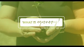 What is Agronomy Agronomy 101 [upl. by Torin702]