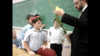 How to Shake a Lulav and Etrog [upl. by Alexi]