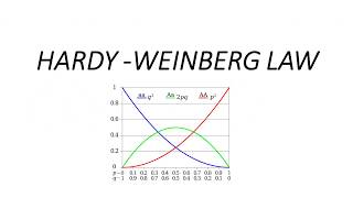 HARDYWEINBERG LAW MOST IMPORTANT TOPIC FOR CSIR NET EXAM EVOLUTION [upl. by Atikan]