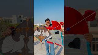 FLY A 3 DIFFERENT TYPES OF POLYTHENE KITE 🤩 shorts pkcrazyexperiments [upl. by Tteve]