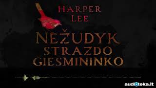 NEŽUDYK STRAZDO GIESMININKO Harper Lee audioknyga  Audiotekalt [upl. by Lizbeth]