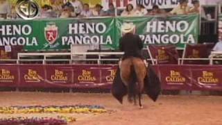 Magnifica de Las Guacas Luisa de La Ceiba y Caprichosa de Gualanday en la mundial de Pererira 2009 [upl. by Hsizan]