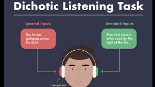 Dichotic Listening linguistics shortvideo learning [upl. by Jarret]