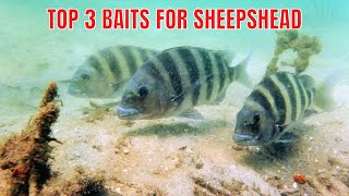 Top 3 Types Of Bait For Sheepshead Fishing [upl. by Amara635]