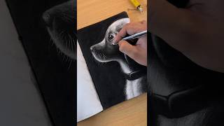 Dog Puppy drawing using charcoal  Tutorial ✨ shorts [upl. by Notsag59]