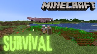 SURVİVAL 2GÜN  MİNECRAFT [upl. by Asena]