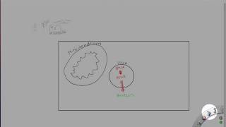 Biochemie Lite Teil 13 [upl. by Lowrie]