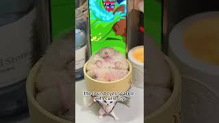 The cute baby hamster eats well hamsters pets cute shorts viral foods [upl. by Krystalle]