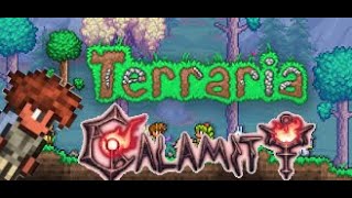 YOUTUBE ONLY TERRARIA CALAMITY PLAYTHROUGH [upl. by Anivle]