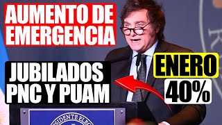 💸Milei en Enero❗ “Aumento de Emergencia” para Jubilados PNC y PUAM y Cambios en ANSES 2024 [upl. by Farron]