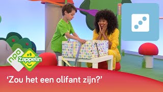 EEN GROTE DOOS UITPAKKEN  Kinderspelletjes spelen met Fenna  NPO Zappelin [upl. by Kushner]