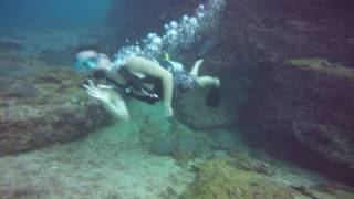 Musandam Discovery Diving  Khasab underwater [upl. by Wildermuth49]