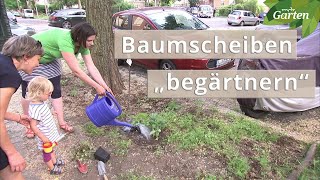 Baumscheiben mit Pflanzen beleben  MDR [upl. by Atteloc]