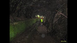 Levada das 25 Fontes  Madeira Levada Walks [upl. by Jabez]