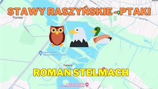 Rezerwat Stawy Raszyńskie  ptaki cz 1 [upl. by Yvad]