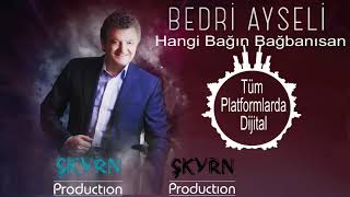 BEDRİ AYSELİ HANGİ BAĞIN BAĞNISAN [upl. by Papotto]