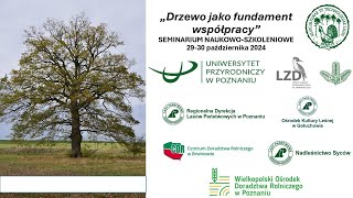 Drzewo jako fundament współpracy [upl. by Paresh]