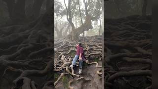 gunacaves familychannel youtubeshorts youtuber trendingshorts travel kodaikanal travelshorts [upl. by Zalea]